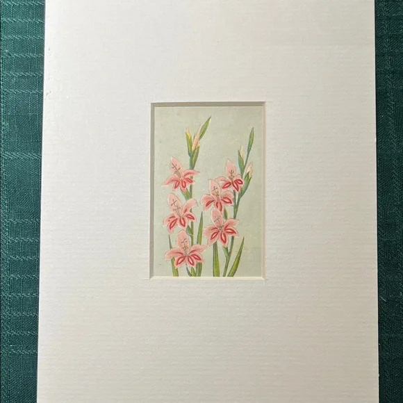 Vintage Dutch Bulb Card Pink “Blushing Bride” Matted - Picture 2 of 3